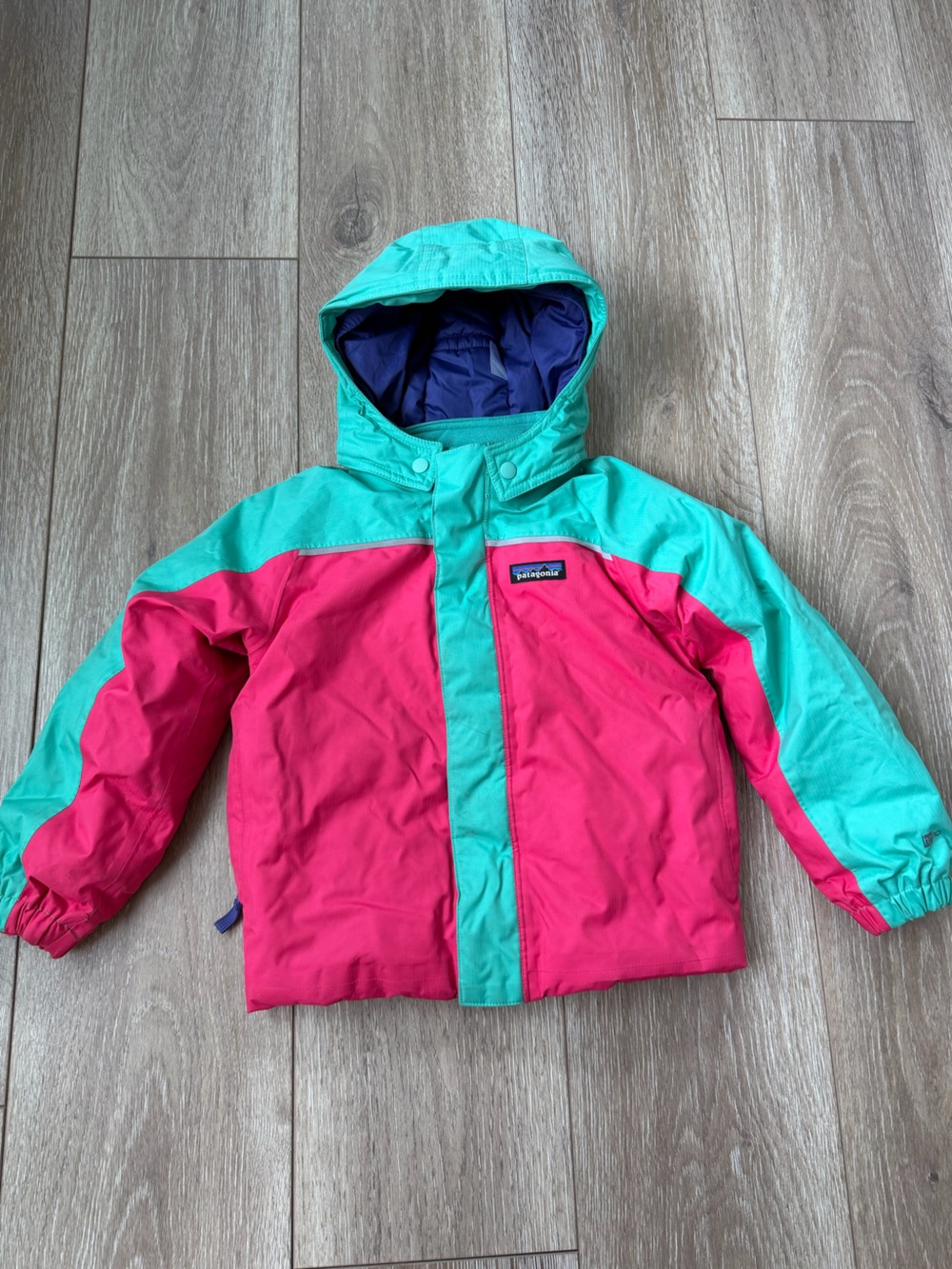 Patagonia Toddler Winter Ski Jacket 3T